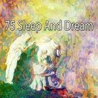 75 Sleep and Dream