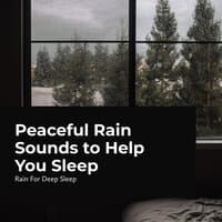 Peaceful Rain Sounds to Help You Sleep