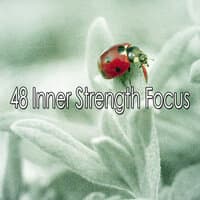 48 Inner Strength Focus