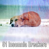 51 Insomnia Breakers