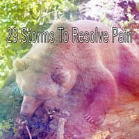 29 Storms to Resolve Pain