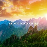 Glory for Nature: Rest, Peace, Admiration and Drawing Energy