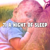 71 A Night Of Sleep