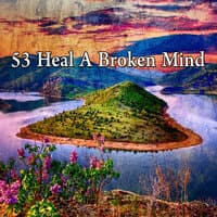 53 Heal a Broken Mind