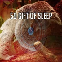 59 Gift of Sle - EP