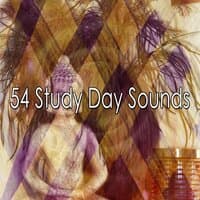 54 Study Day Sounds