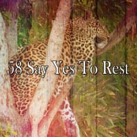 58 Say Yes to Rest