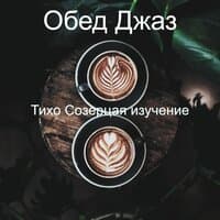 Тихо Созерцая изучение