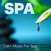 Spa Music: Calm Music For Spa, Massage, Yoga, Meditation, Relaxation, Sleep, Mindfulness, Stress Relief, Healing, Wellness and Sleeping Music