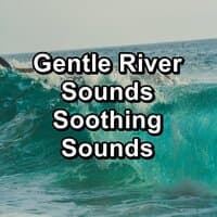 Gentle River Sounds Soothing Sounds