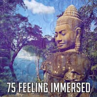 75 Feeling Immersed