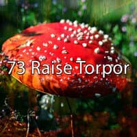 73 Raise Torpor