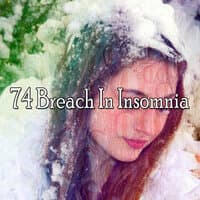 74 Breach in Insomnia