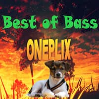 Best of Bass