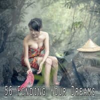 56 Finding Your Dreams