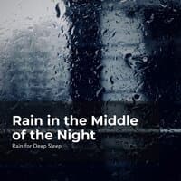 Rain in the Middle of the Night