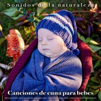 Canciones de cuna para bebes - Sonidos de la naturaleza - Música para bebés, música para dormir, música para niños, canciones de cuna para bebés y música para dormir profundamente