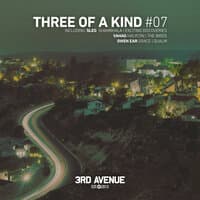 Three of a Kind #07