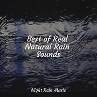 Best of Real Natural Rain Sounds