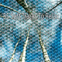 55 Soft Tracks to Relax