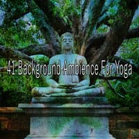 41 Background Ambience for Yoga