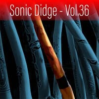 Sonic Didge, Vol. 36