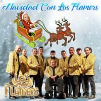 Navidad Con Los Flamers