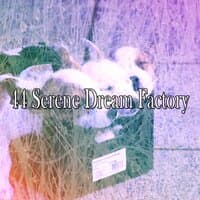 44 Serene Dream Factory