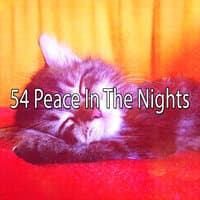 54 Peace in the Nights