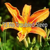 73 No Troubled Sle - EP