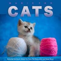 Music For Cats: Relaxing Cat Music, Music For Pets, Pet Relaxation and Sleep Music