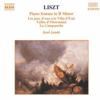 LISZT: Piano Sonata in B Minor / Vallee d'Obermann / La campanella