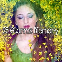 35 Storms Memory