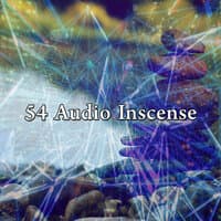 54 Audio Inscense