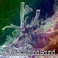 66 Mind Calming Sound