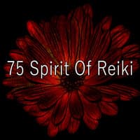 75 Spirit of Reiki