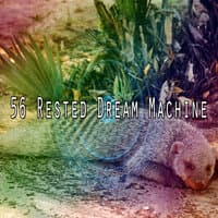 56 Rested Dream Machine