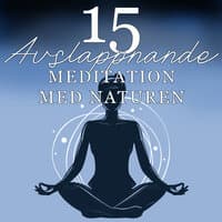 15 Avslappnande Meditation med Naturen – Zenspår, Asiatisk Musik, Helande Andlighet, Naturljud, Yoga, Spa, Lugna Musikterapi