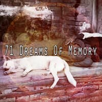 71 Dreams of Memory