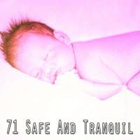 71 Safe and Tranquil