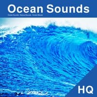 Ocean Sounds