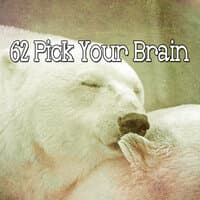 62 Pick Your Brain