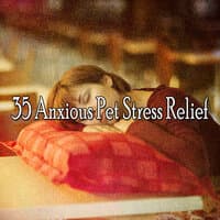 35 Anxious Pet Stress Relief