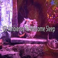 63 Ambience to Welcome Sle - EP