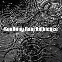 Soothing Rain Ambience