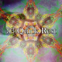 73 Quick Rest