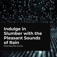 Indulge in Slumber with the Pleasant Sounds of Rain