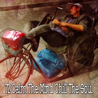 72 Calm the Mind Chill the Soul