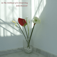 In the Stillbeat of a Silent Day