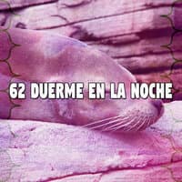 62 Duerme En La Noche